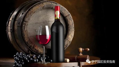 第三彈 伊寧園區四大類農副產品精深加工項目揭牌推介