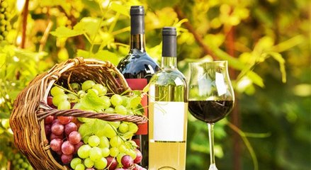 藍菲葡萄酒學(xué)院丨終于搞清楚有機葡萄酒、生物動力法葡萄酒了!