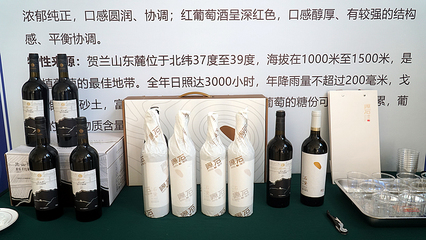 寧夏105件地理標(biāo)志產(chǎn)品直接年產(chǎn)值48.24億元