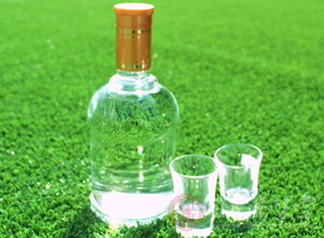 濟(jì)陽縣食藥監(jiān)局對時令食品進(jìn)行嚴(yán)格檢查