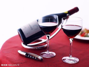 法國(guó)原裝紅酒進(jìn)口全流程解析 從報(bào)關(guān)商檢到市場(chǎng)銷售